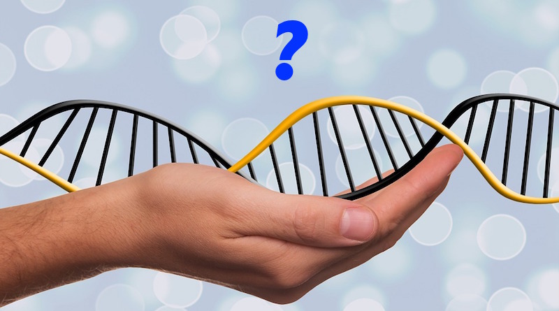 DNA