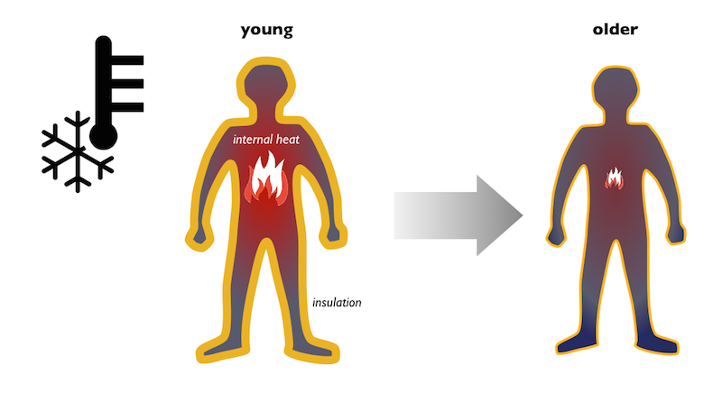 retaining internal heat as we age