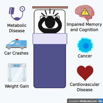 Sleep infographic