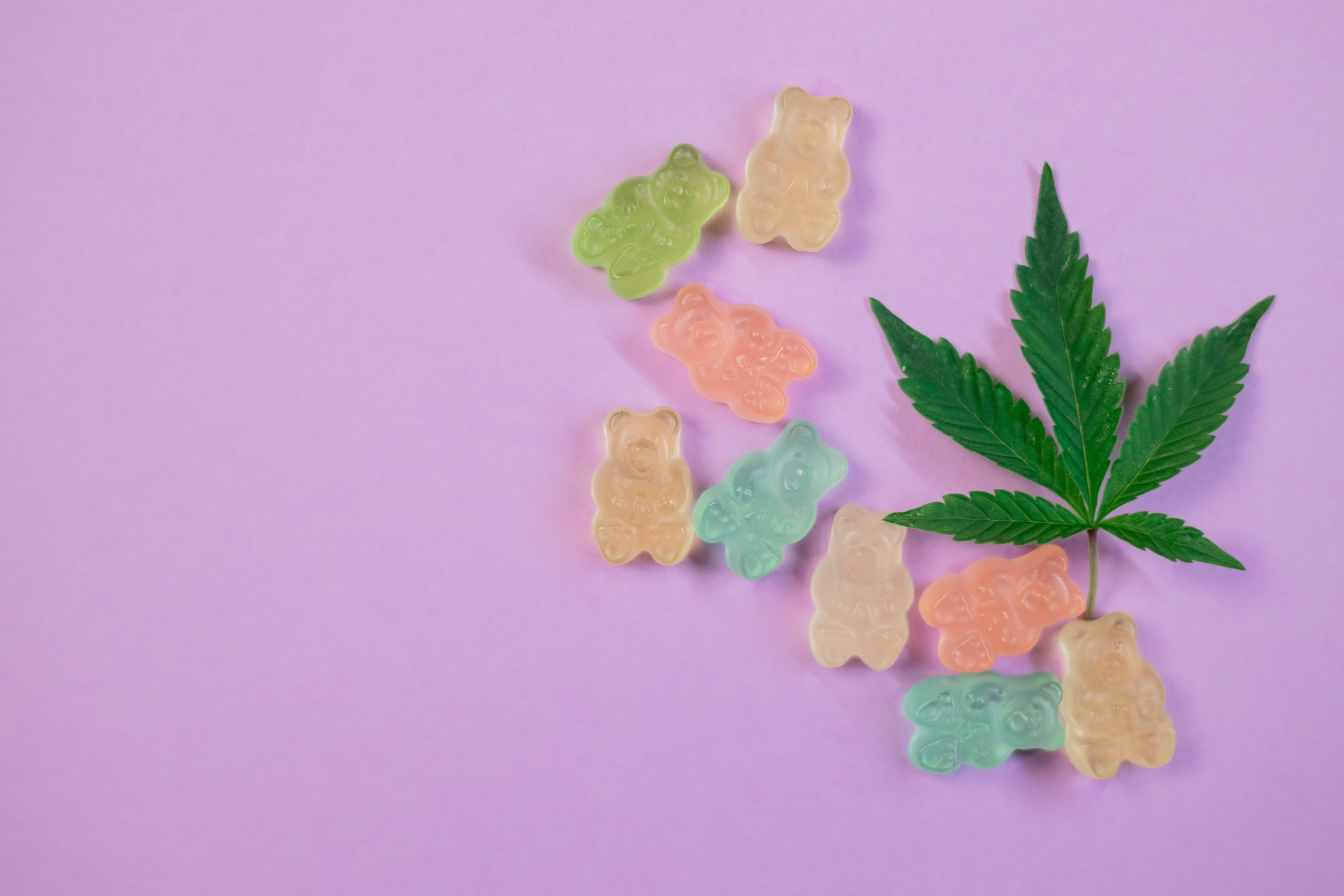 Cannabis Use in Older Adults: State of the Evidence