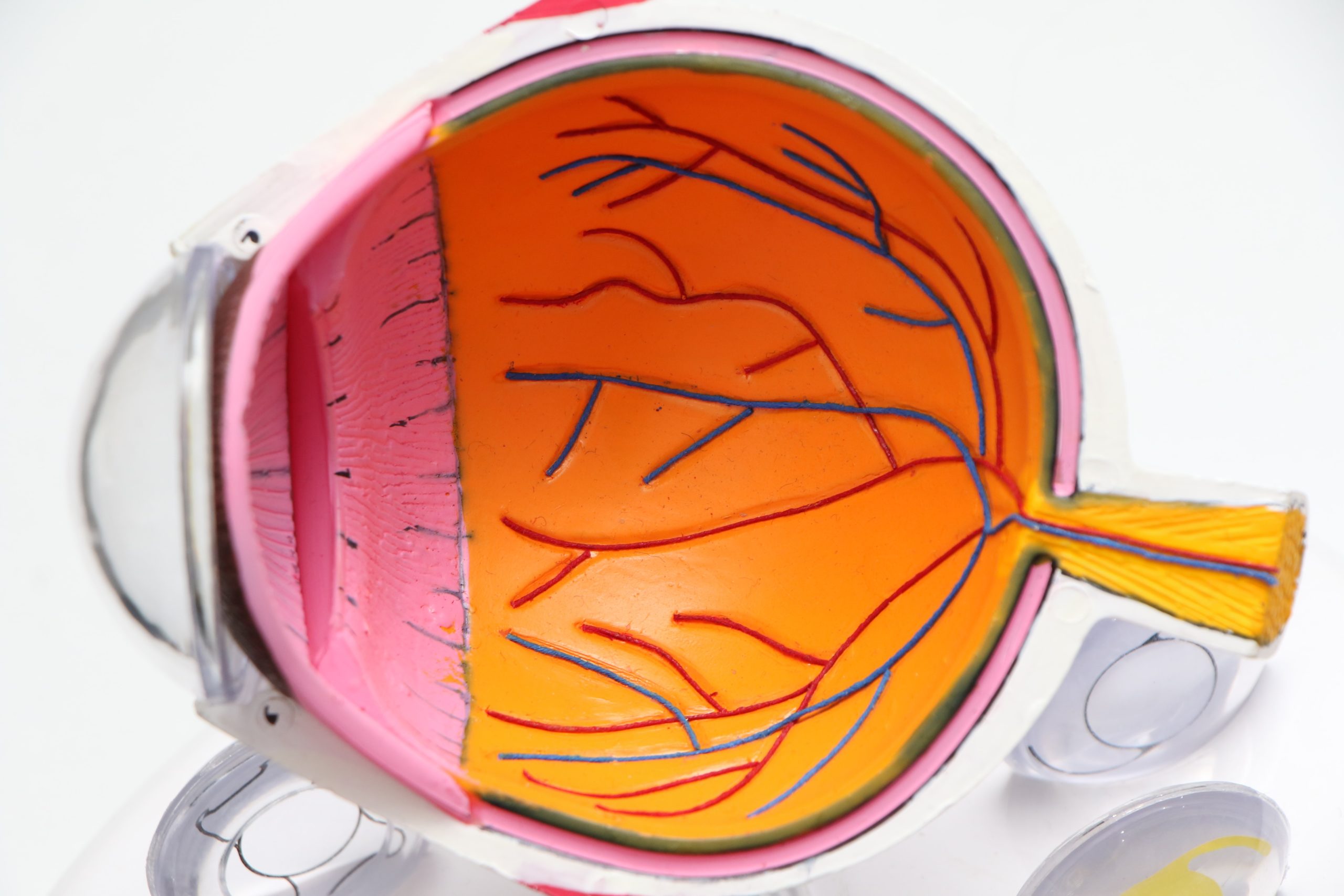 The Common Change that affects Eyesight with Age