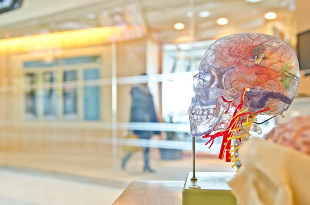 Rewire the Brain