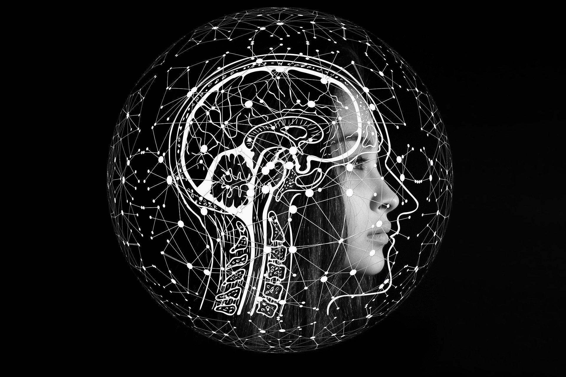 illustration of the brain anatomy with a network overlaying it.